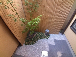 IMG_0007 (2) / / / / / / / / /