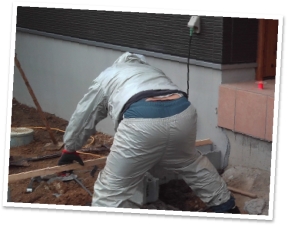 IMG_0003 (2) / / / /