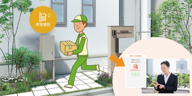 ���ۥܥå�����