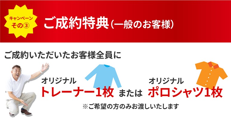 ��������ŵ